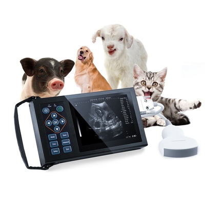 A10 Animal Device Handle Portable Laptop Livestock Digital USB Sonoscape Machine Ultrasound Scanner Instruments Device Veterinarian Animal Ultrasound